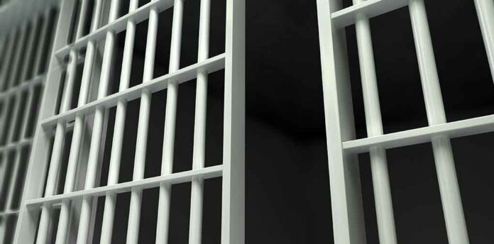 Close-up view of prison cell bars.