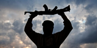 Silhouette of a person holding a rifle against a cloudy sky