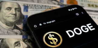 Smartphone displaying DOGE app over dollar bills