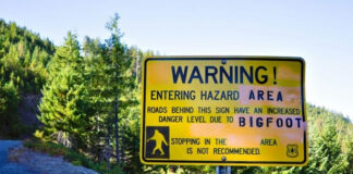 Warning sign about Bigfoot in forested area.