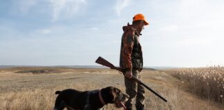 A man in hunting gear walking with a dog in a field during sunset
