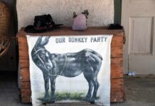 Communist Surge Claim Jolts Democrats donkey illustration on cloth hanging from wooden chest